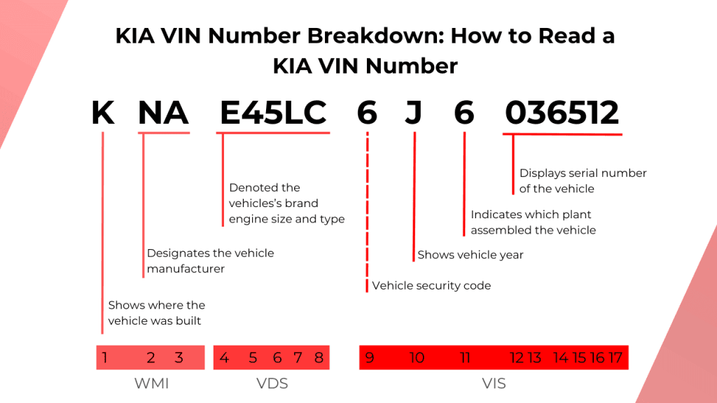Kia VIN Number Breakdown: How to Read a Kia VIN Number